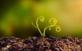 春天萬物萌發,端正態度干好軟件測試工作